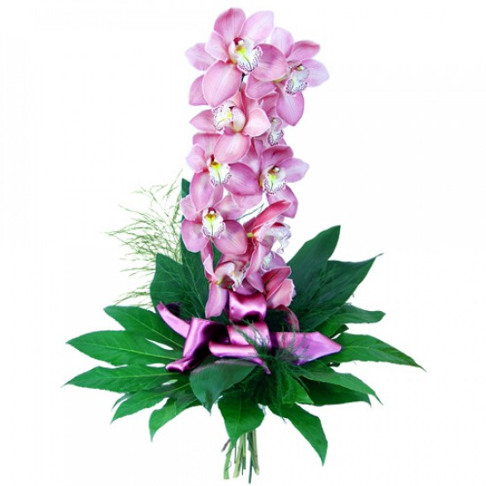 Многие люди сходятся во мнении, что орхидеи ( орхидеи ) - самые красивые цветы в мире